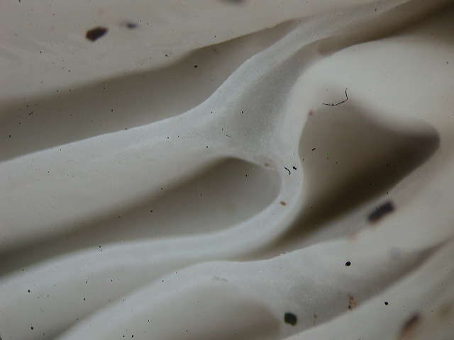 Quiz .. attuale e dobbiamo parlare piano!!!